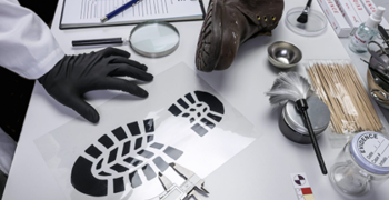 Investigación Judicial Forense